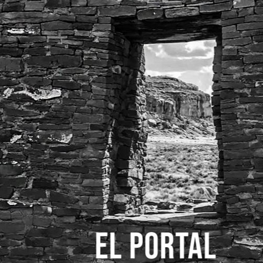 Black and White Image of a brick wall with a doorway